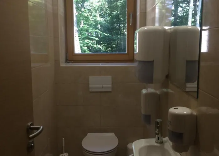 Koca Planina Nad Vrhniko *